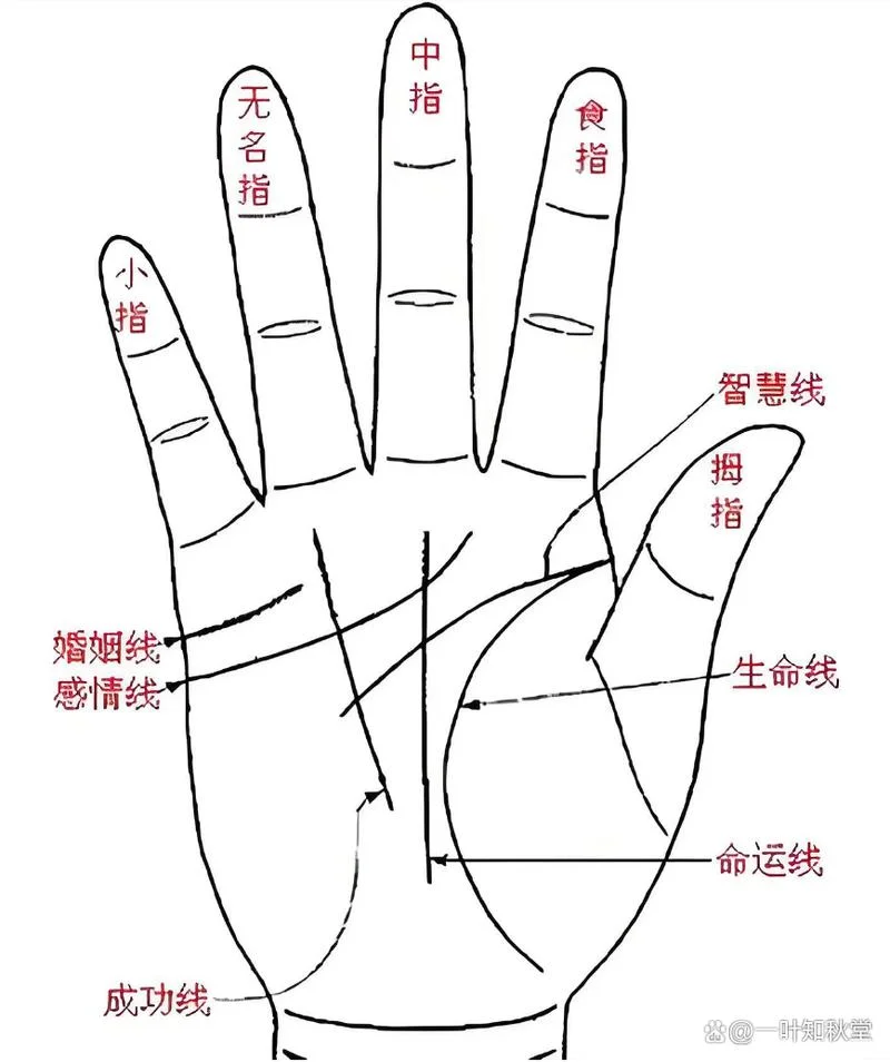 手相的感情线是哪条_1