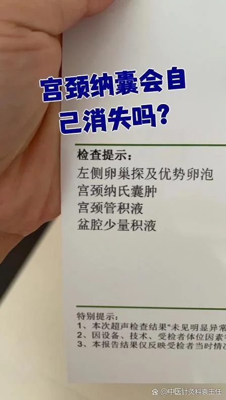 什么是纳囊_1