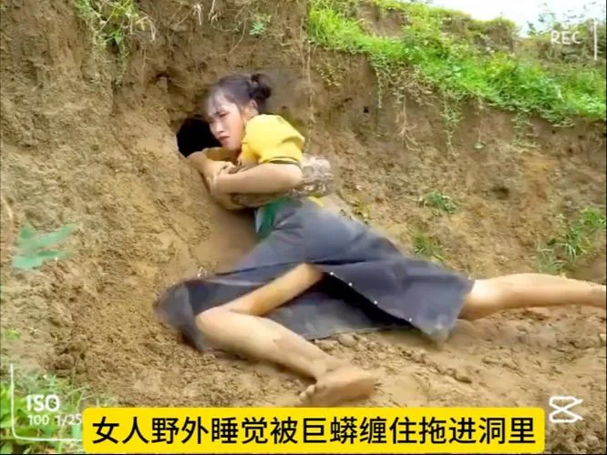 女人梦到蛇钻进身体里_1