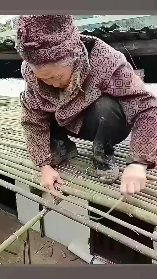 怎么用竹子搭建鸭棚_2