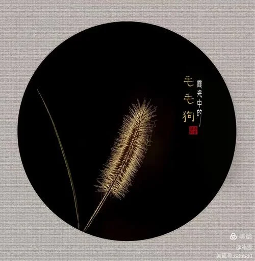 心飞扬上一句是什么-心飞扬上一句
