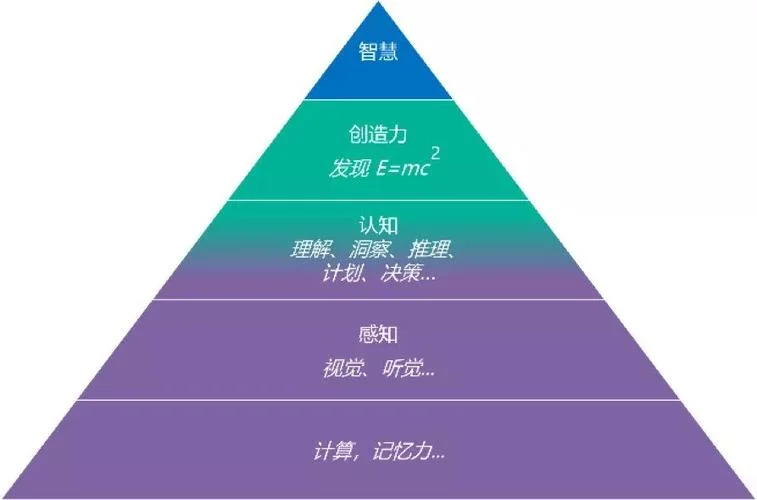 认知过程_1