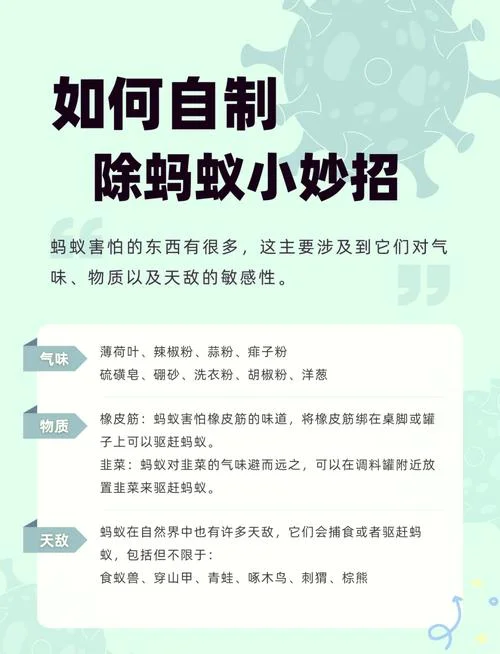 灭白蚁的药原理-灭白蚁药效原理