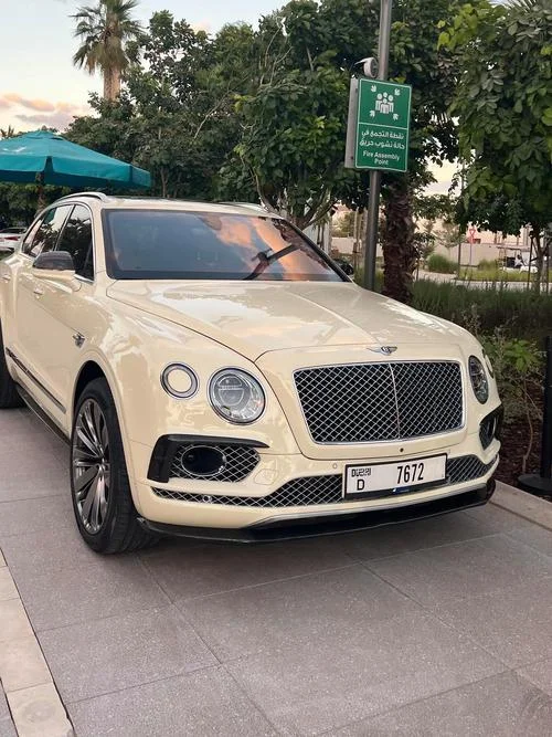 50万买什么车_1