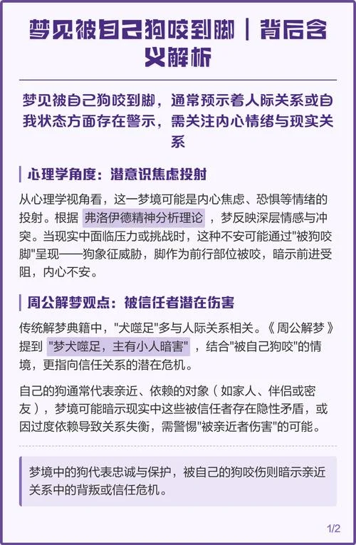 梦见狗扑过来咬自己_1