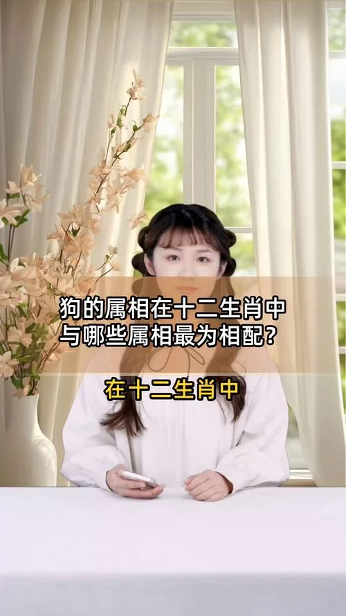 属相狗与什么属相最相配_1