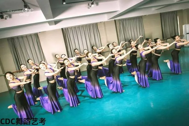 山东舞蹈艺考培训学校_1