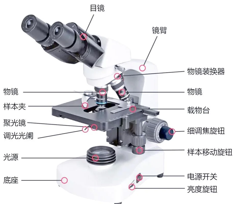 光学显微镜多少钱一台?_1