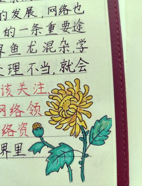 手绘读书笔记封面_1