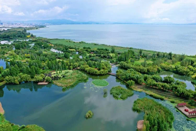 滇池湿地_1