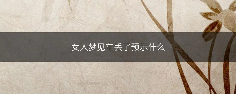 老是梦见车丢了是什么情况_2