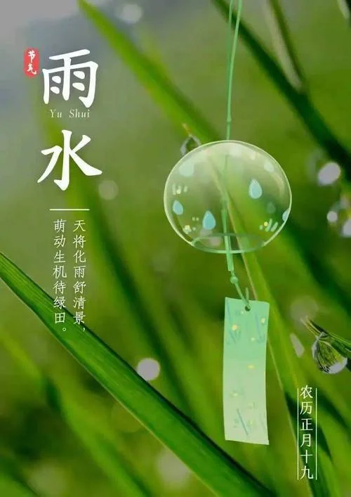 一盒雨水什么含义-一盒雨水含义