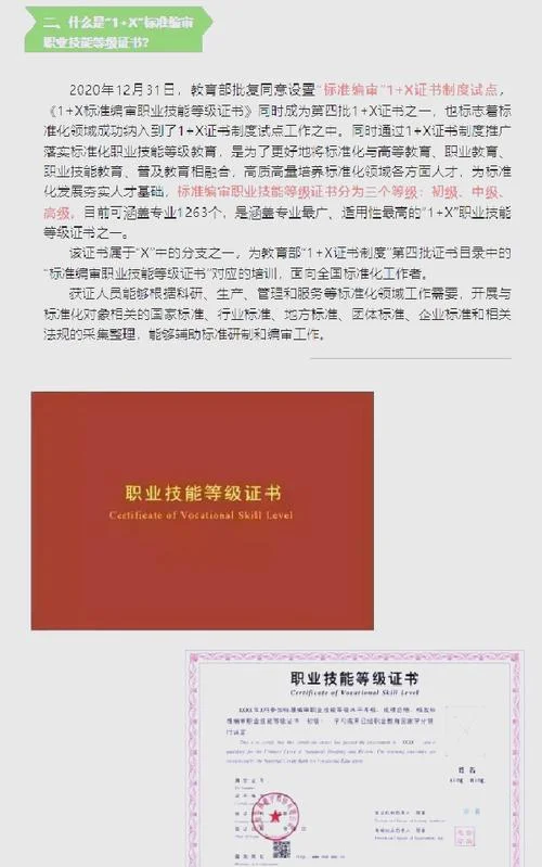 1+x证书查询入口官网_1