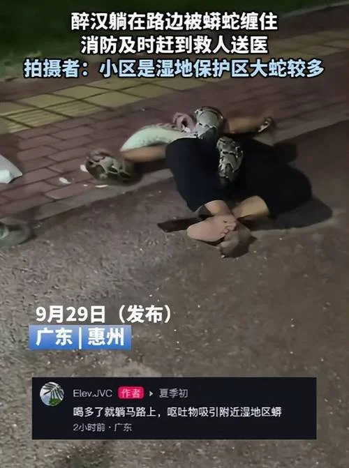 男人做梦蛇缠身_1