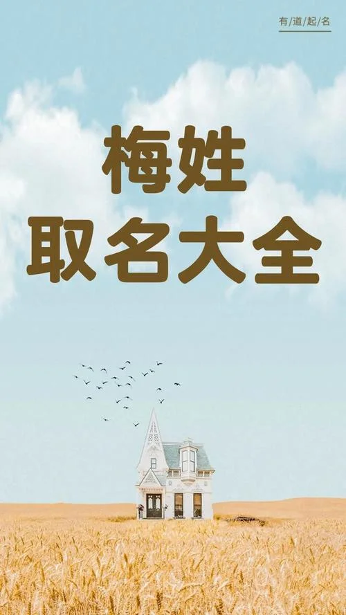 猪年宝宝起名网_1
