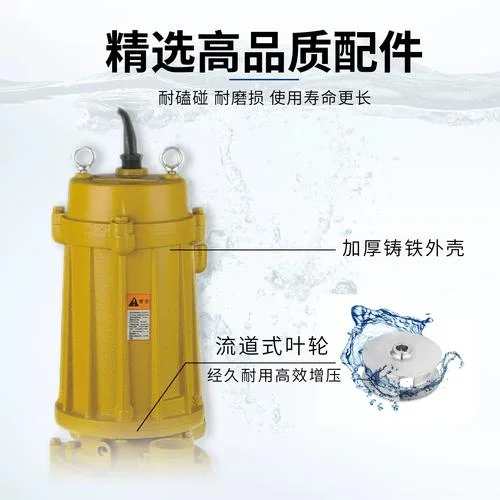 飞力水泵哪个国家的品牌_1
