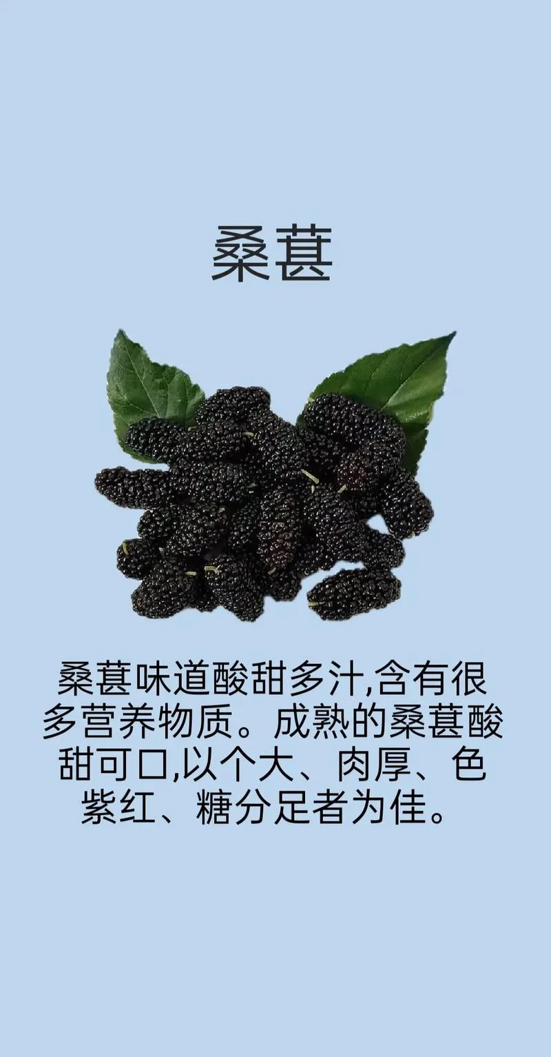 梦到吃桑葚是啥意思_1