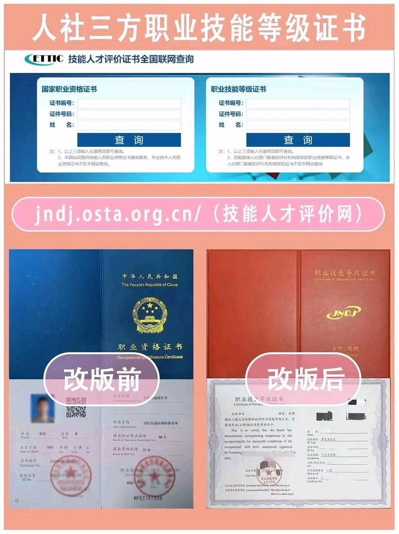 技能证书查询支付宝_2