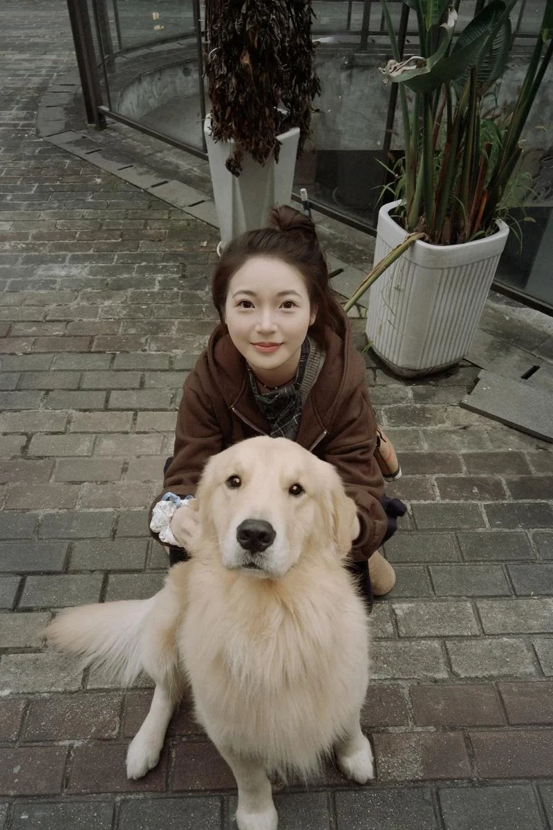 金毛犬多少钱一只_1