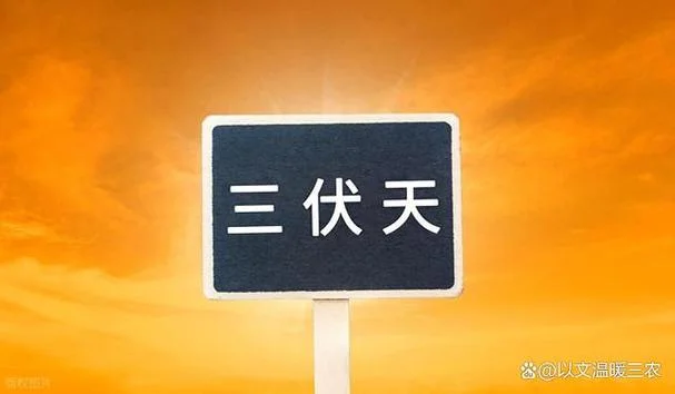 夏天在几月份开始-7 月