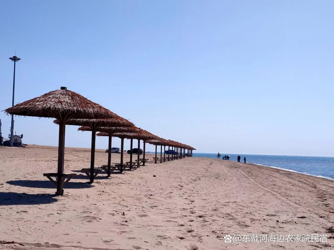 东戴河农家院多少钱_2