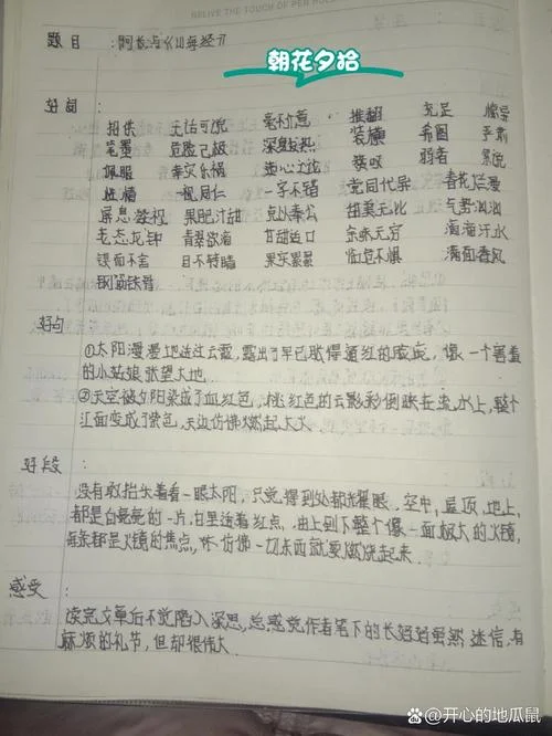 阿长与山海经读后感雾-阿长读山海经有感
