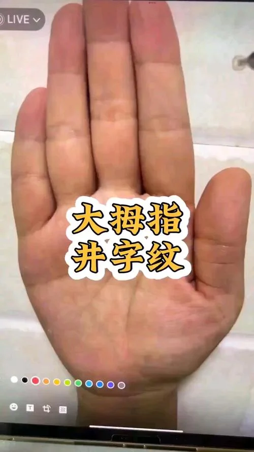 月丘有井字纹手相_2
