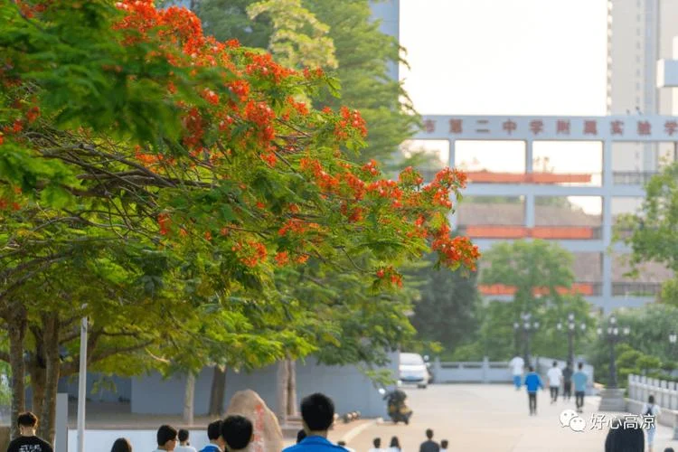 高州二中学校-高州二中学校