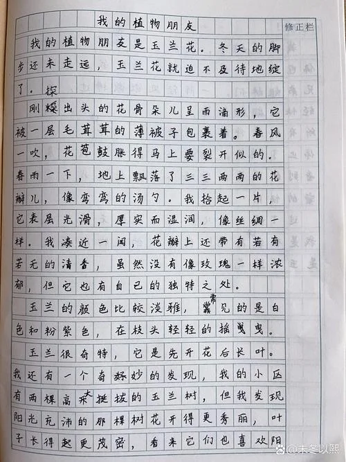 写花的作文100字_1