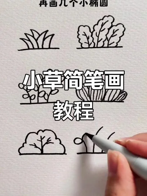 儿童简笔画小草_1