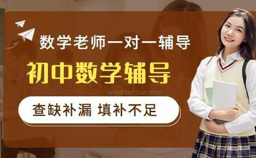 中学数学在线一对一辅导收费_1