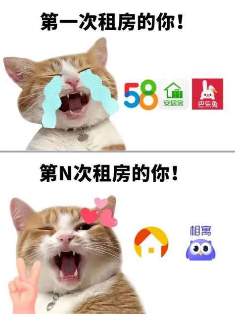 梦见租房子住什么意思-梦见租房住含义