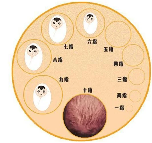什么是开三指_2