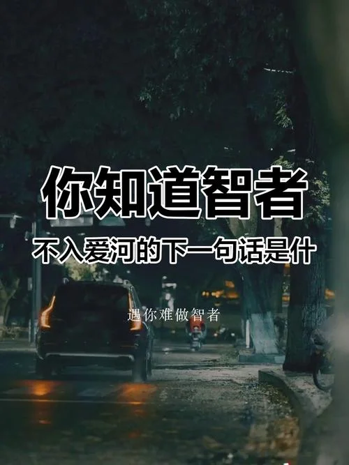 智者不入爱河下一句啥_1