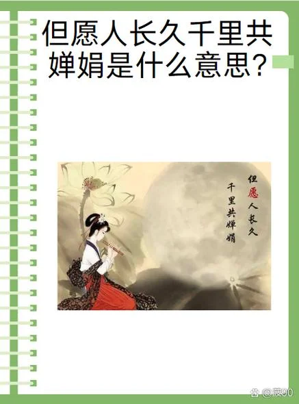 明月共婵娟下一句-共婵娟明月下