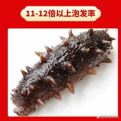 海参的十大品牌-海参十大知名品牌