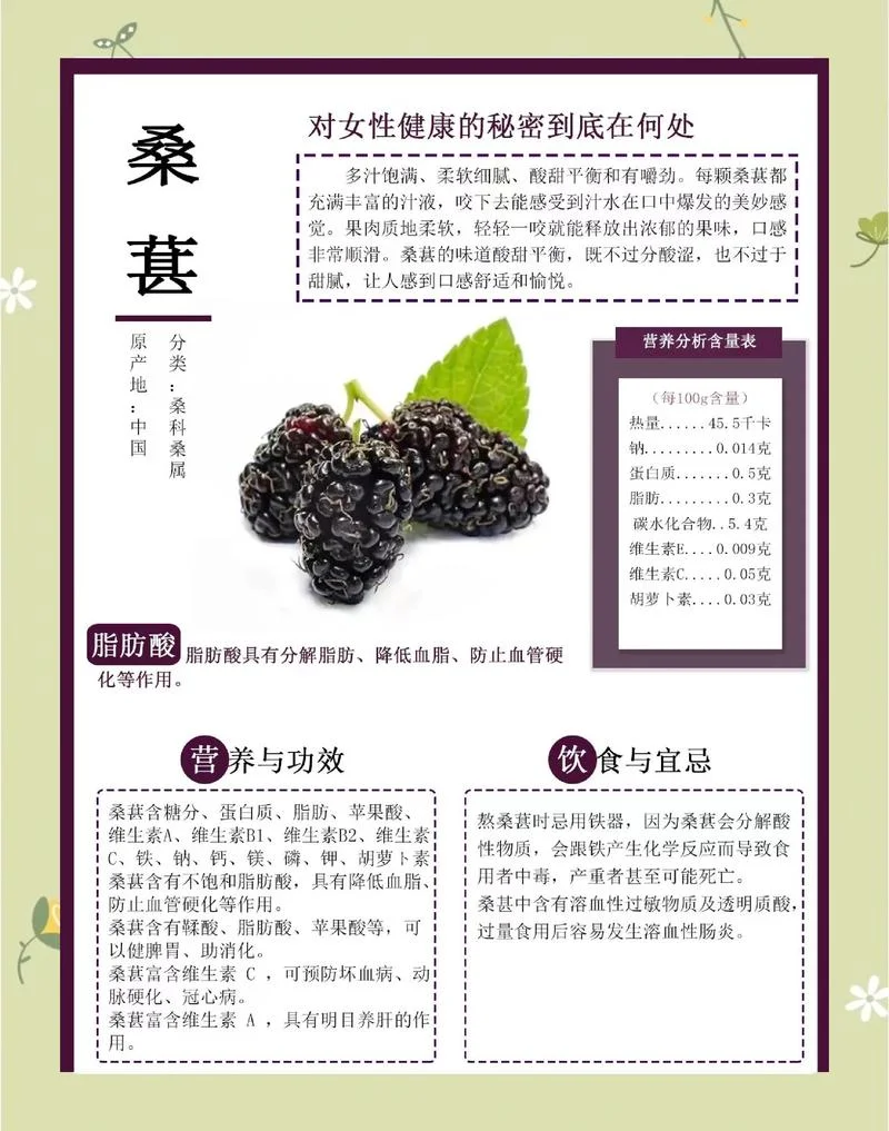 梦见吃桑葚什么意思啊_1