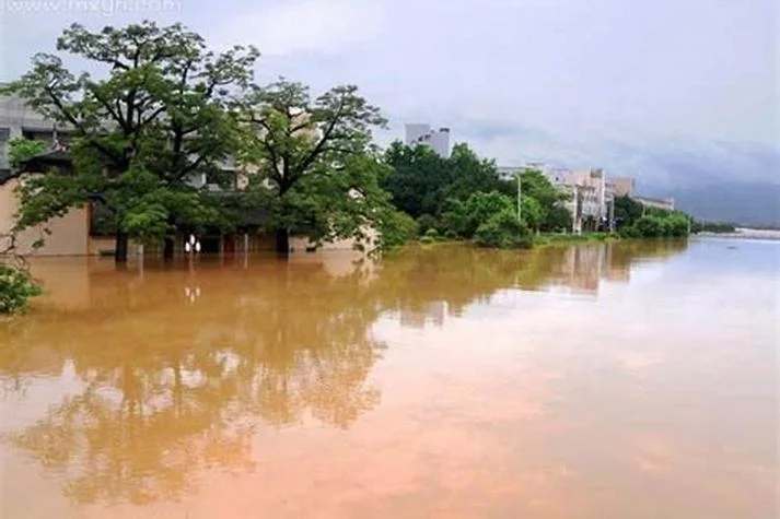 梦见水淹院子什么预兆_2