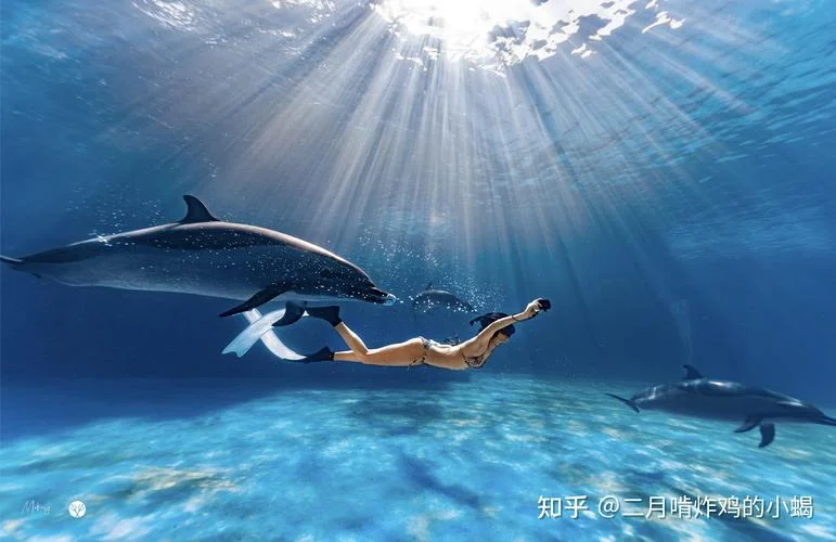 梦见自己在海水里_2