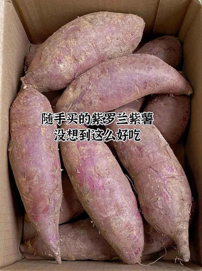 梦见紫薯有什么预兆_1