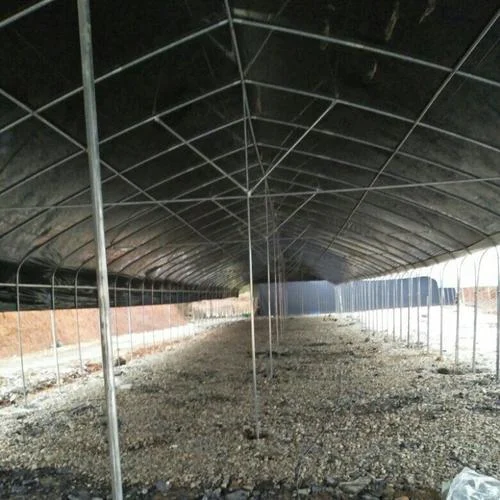 建一亩养殖大棚费用_2