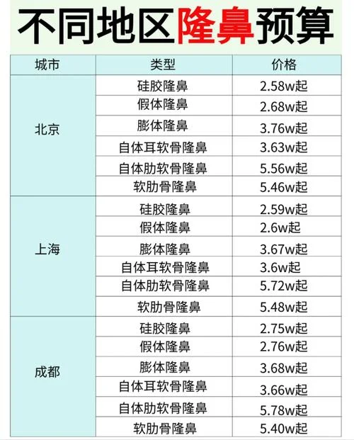 整容垫鼻梁多少钱_1