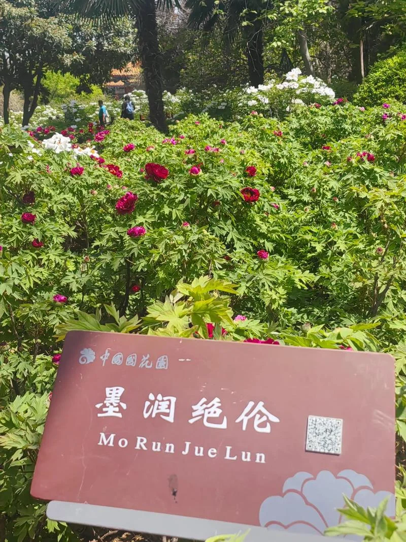 姹紫嫣红什么意思是_1