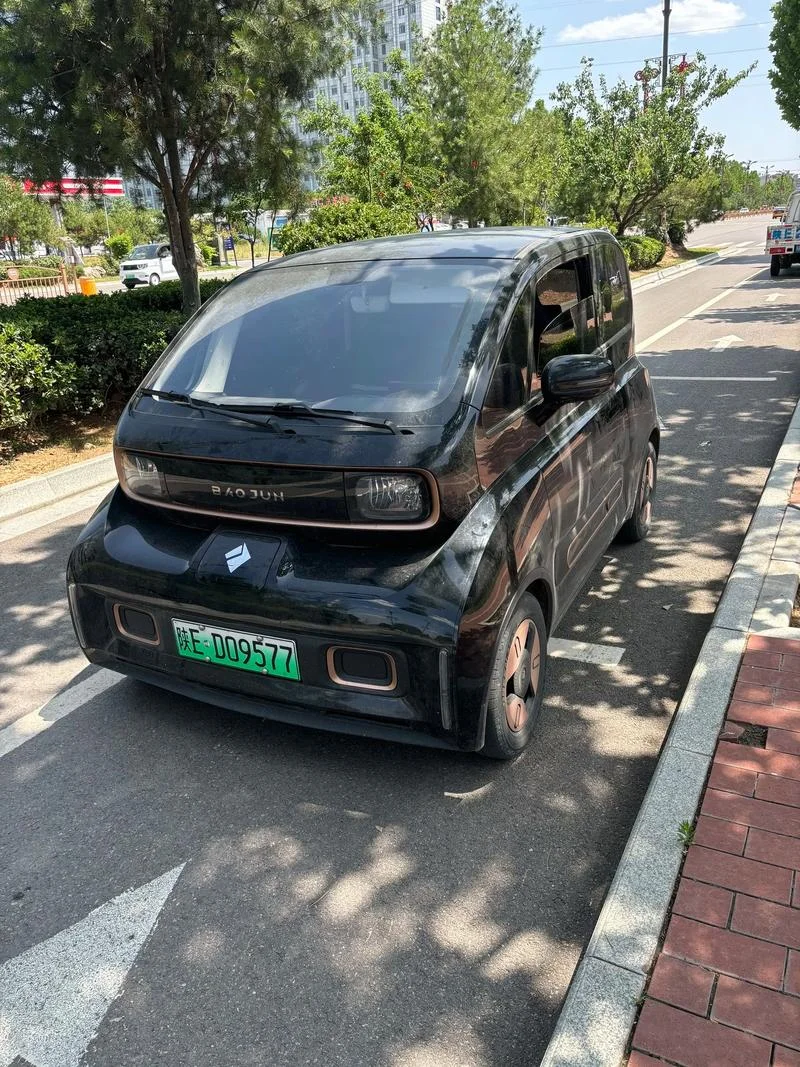 迷你电瓶车多少钱_1