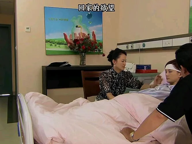回家的欲望大结局解说_1