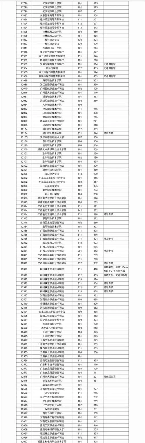 2024专科投档分数线_1