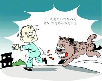 梦见让狗咬出血了_2