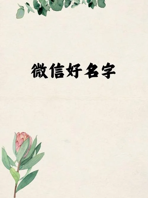 初与你下一句_2