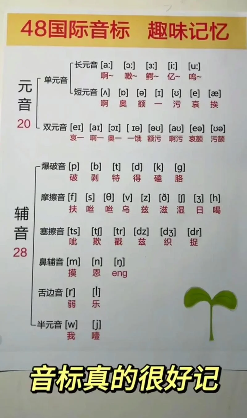 音乐英文怎么写怎么读-音乐英译释义