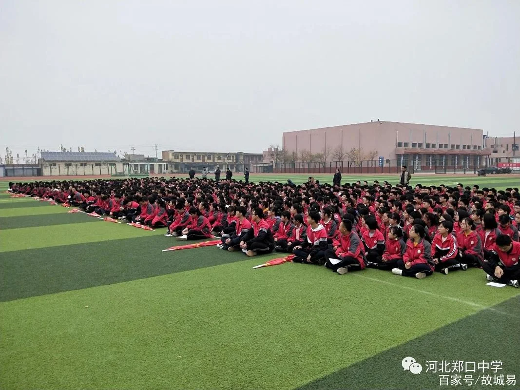河北郑口中学高考成绩-河北郑口中学高考